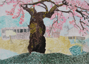 五りょうかくの桜の木 佐久市立田口小学校 6年生 市川 克郎さん